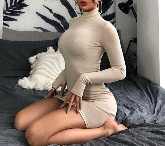 Autumn Turtleneck Mini Dress